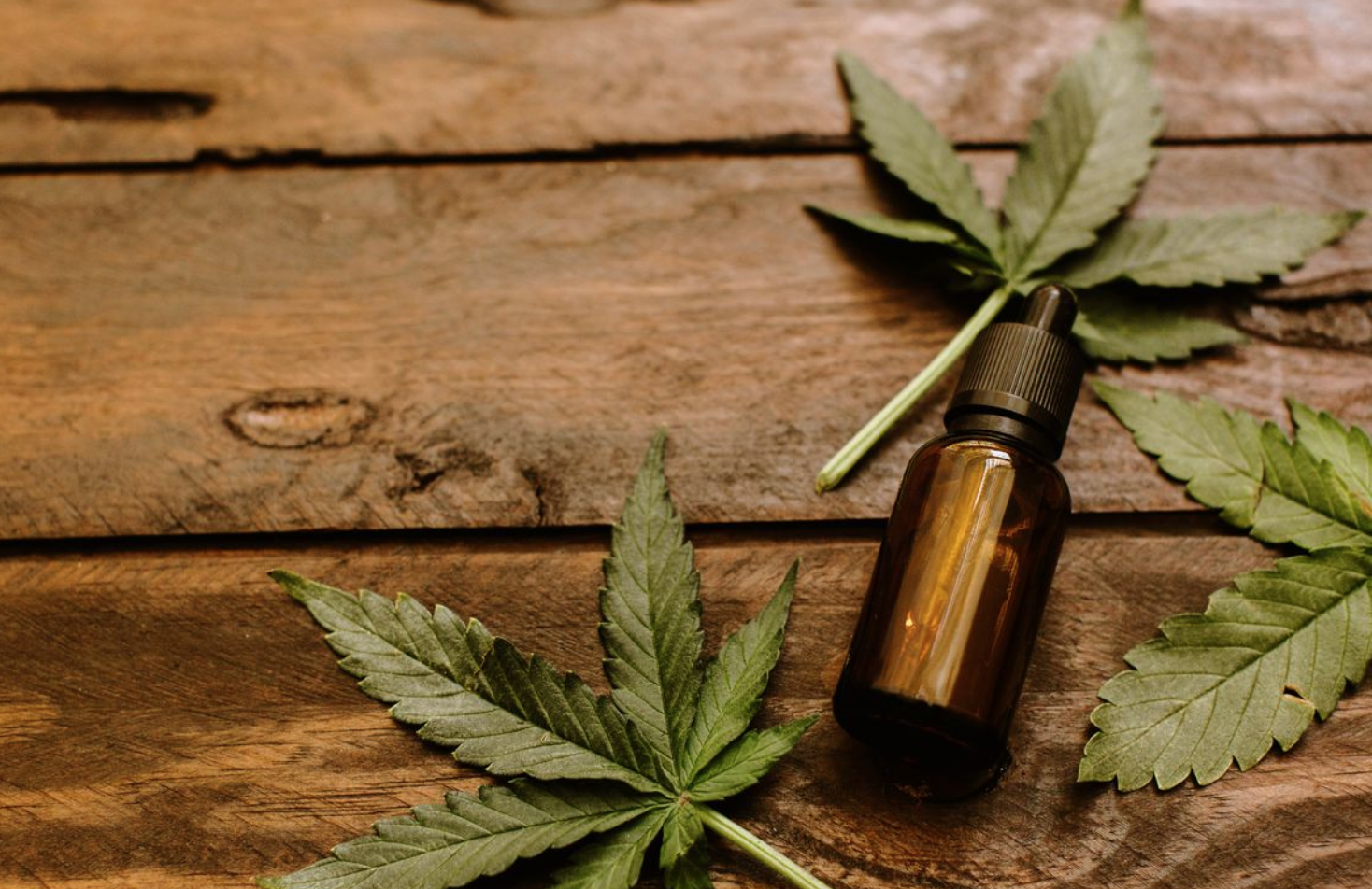Why it’s Important to Educate Your Customers on CBD