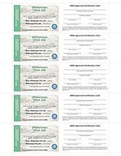 ASHI Wilderness First Aid Certification Cards (Set of 5, 2018 Version)
