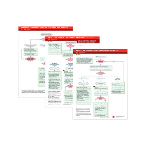 Red Cross Basic Life Support Emergency Code Cards(754903)