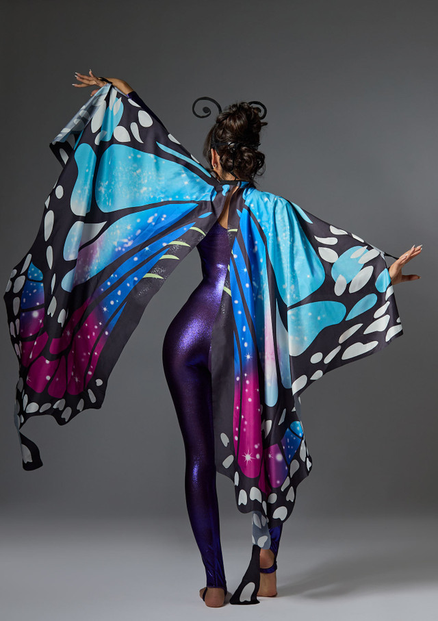 Jolista Butterfly Muse Costume Multi-Colour Front [Multi-Colour]