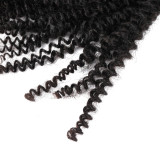 PROTEA Hair Weave, Kinky Curly Remy Human Hair Weft, 3-PACK DEALS Total 300G/10.58oz, 12A Natural Brazilian Bundles