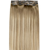 PROTEA #9T9P60 Human Hair Seamless Clip In Hair Extensions,  Straight 10 to 24 Inch, 100G 5PCS