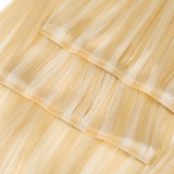 PROTEA #27P613 Color Human Hair Seamless Clip In Hair Extensions,  Straight 10 to 24 Inch, 100G 5PCS