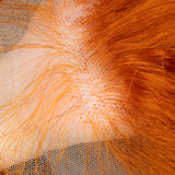 PROTEA Real Human Hair Wigs, #350 Bright Red Copper Water Wave Full Frontal Lace 13*4 Wig, 200% Densiy, 22 Inch