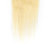 PROTEA 613 Straight Hair Lace Closure, HD and Transparent Free Part Lace Closure and Frontal, Platinum Blond Human Hair Extensions