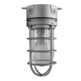 MaxLite Maxlite Vaporproof Jelly Jar Ceiling Mounted E26 9W A19  LED Lamp 3000K JJC12001 