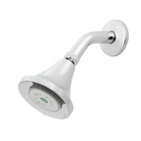 Niagara 1.25 gpm Low Flow Earth Showerhead Chrome N3912CH