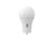 MaxLite Enhanced Series A19 LED bulb, 8W, 5CCT selectable, GU24 base, EE8A19GU24D9CS-JA8