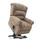 Malton Patterned Rise and Recline Armchair Electric Dual Motor