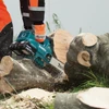 Makita 36V (18Vx2) LXT Brushless 14" Top Handle Chainsaw Kit