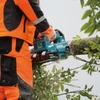 Makita 36V (18Vx2) LXT Brushless 14" Top Handle Chainsaw Kit