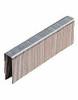 2" X 7/16"  X 16GA STAPLES  (10,000) N21