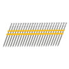 21° Collated 16D Duplex Nail