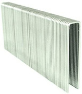 N21 STAPLES 2" (10.000) (CFPS)