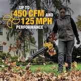 20V MAX XR® Brushless Cordless Handheld Blower Kit