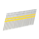 21° Collated 16D Duplex Nail