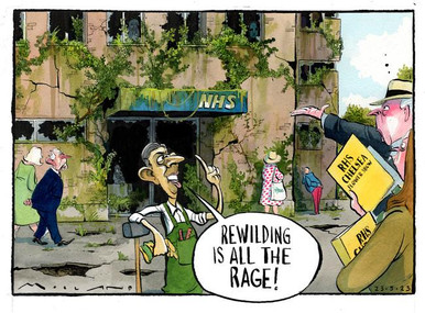 Rewilding Cartoon 39718537-Rewilding is all the rage! Morten Morland cartoon for The ...