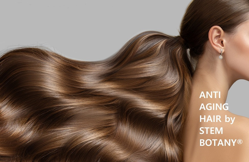 Most Effective Shampoo For Thinning Hair? Most Effective Shampoo For Thinning Hair?