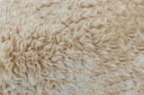 What Are The Specifications Of High-Quality Wool  Pads?