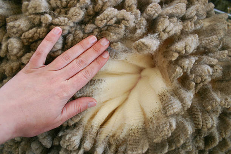 Sheepskins Benefit Year Round: