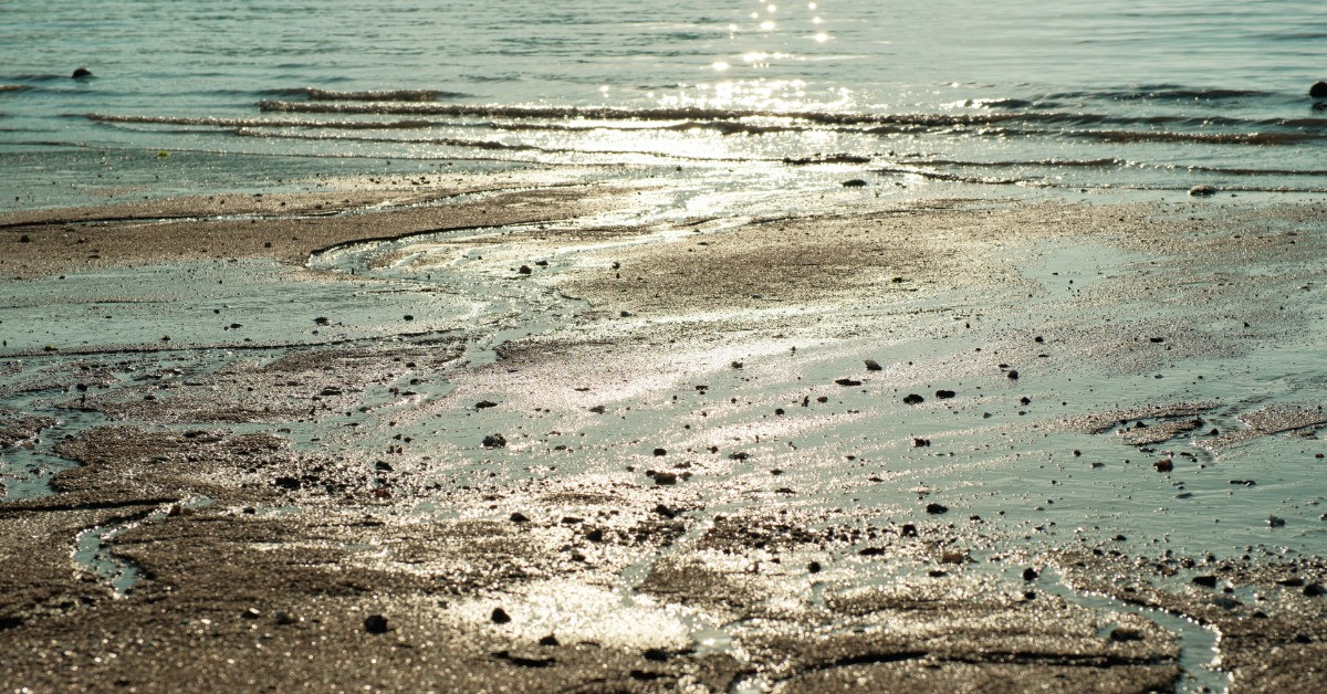 Achieving High Core Recovery in Soft Sediment Sampling