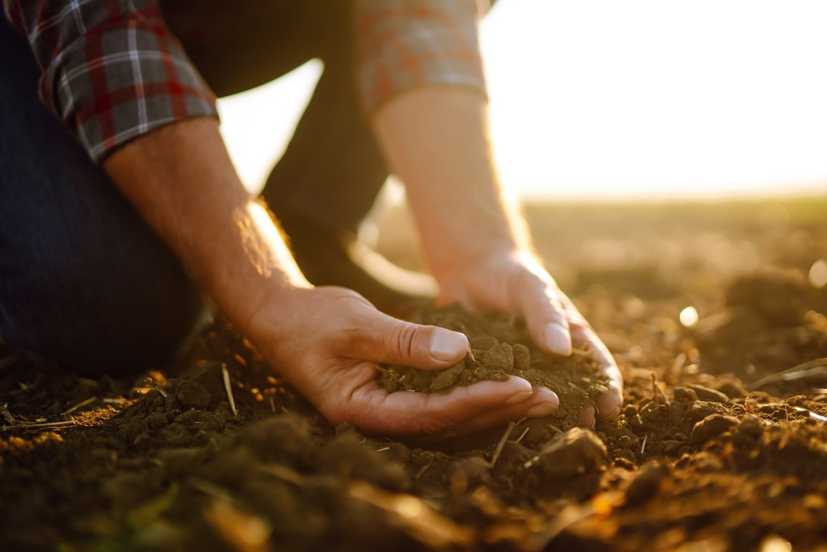 10 Ethical Concerns in Soil Sampling Practices