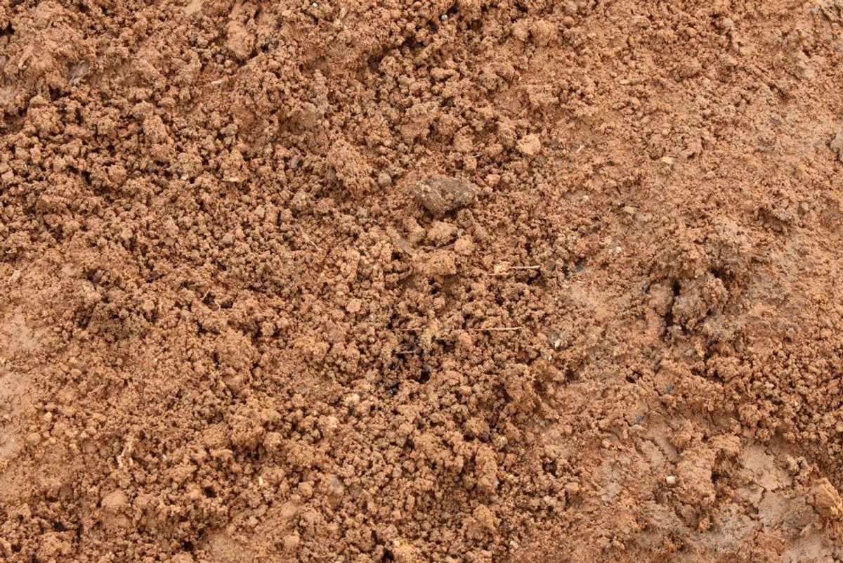 Key Differences Between Disturbed and Undisturbed Soil