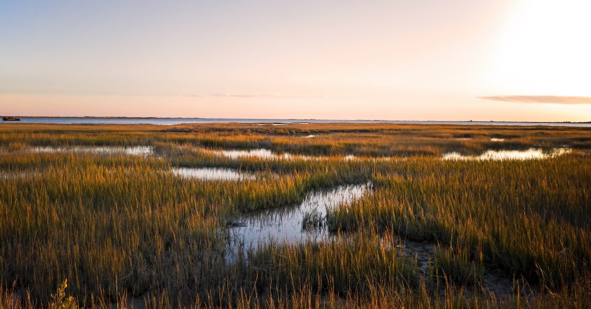What Are the Stages of Sludge and Sediment Sampling?