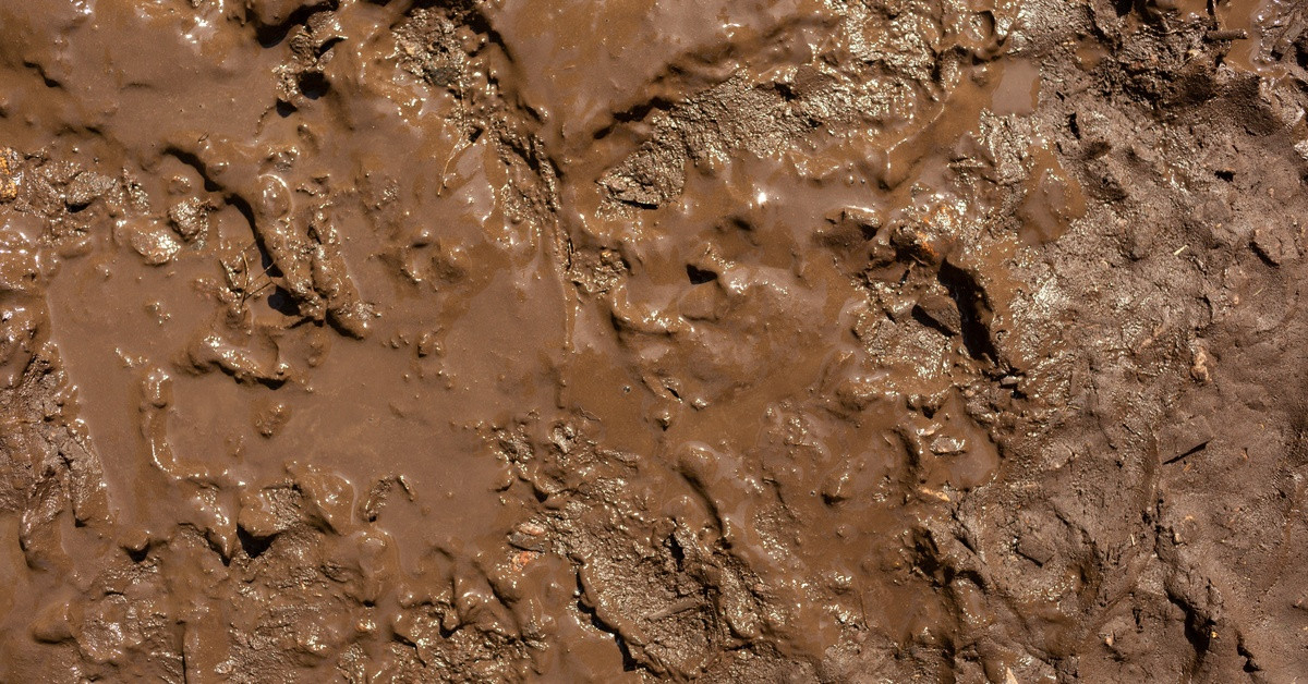 Bucket Auger Applications for High-Moisture Soils