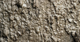 Sludge Sampling Equipment for High-Viscosity Materials