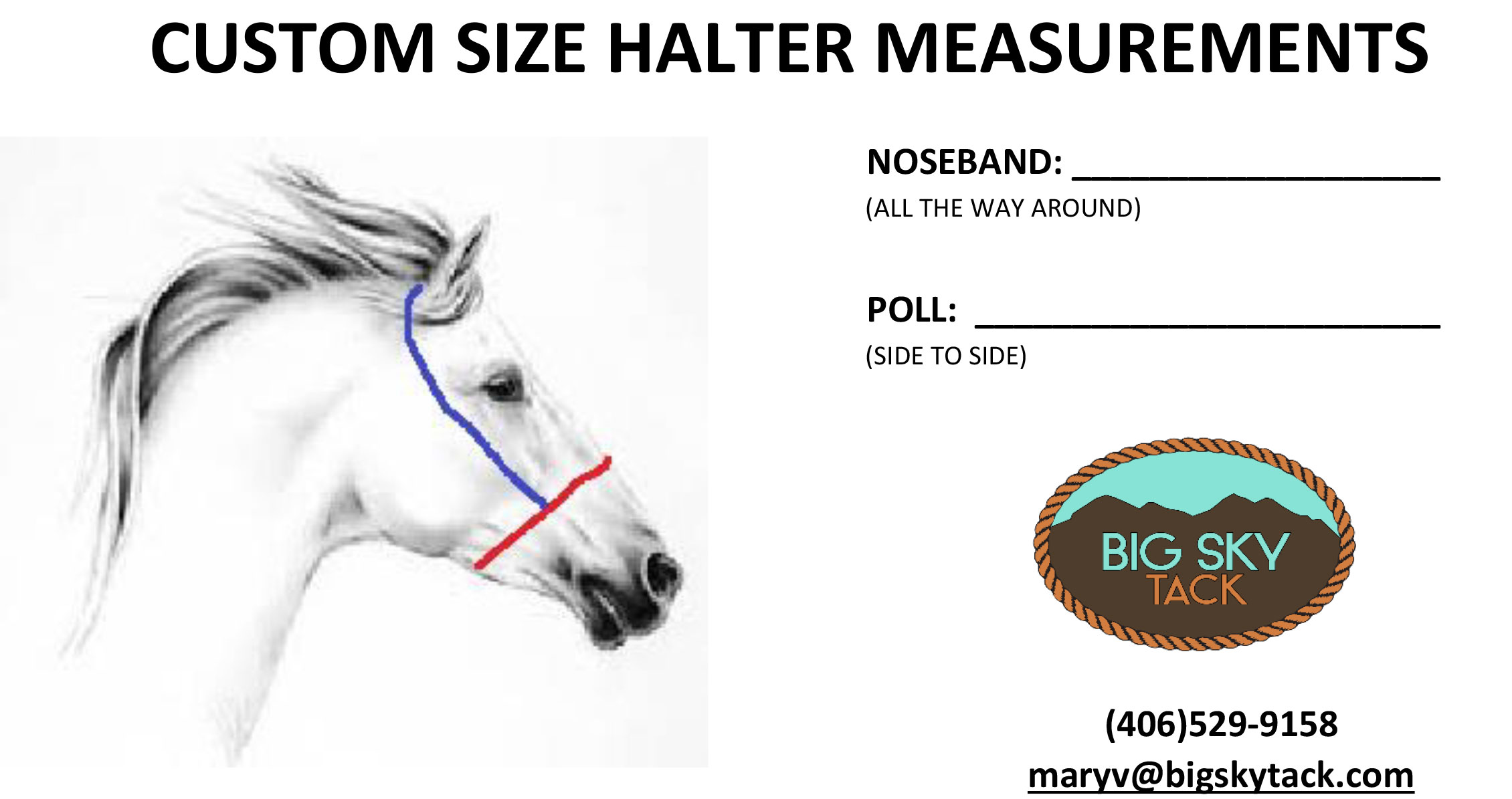 custom-halter-cheat-sheet.jpg