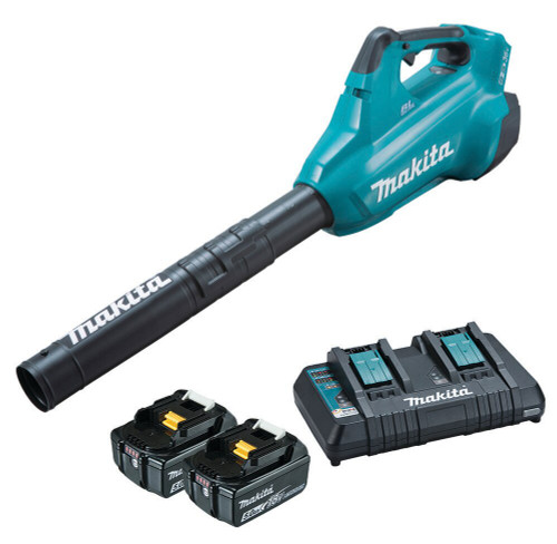 36V ( 18V X2) 930MM B/LESS TURBO BLOWER 2X5AH BAT,CHRG
