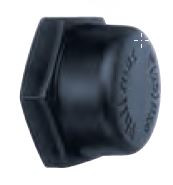 POLY CAP BSP 50MM