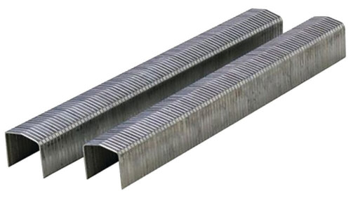 1/4\" - 6MM STAPLES 1000PK