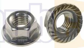 M8 (8MM) FLANGED HEX NUT SERRATED S/S 316