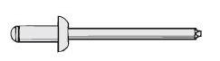 TT5-2 STAINLESS RIVETS 100PK