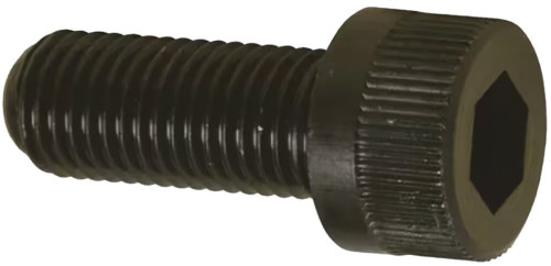 M12X170MM CL12.9 BLK SHCS