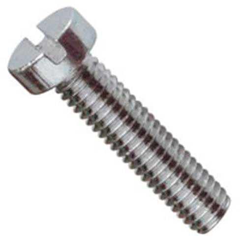 M6X10MM CHEESE SLOT METAL THREAD S/S 316
