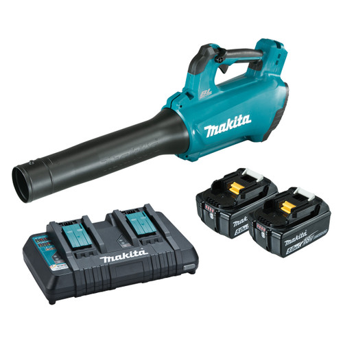 18V B/LESS VARIABLE SPEED BLOWER 2X5AH BAT,DUAL CHRG