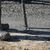 MX FUEL BACKPACK CONCRETE VIBRATOR W/ HARNESS & REMOTE