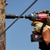 3-IN-1 SHOCKWAVE LINESMAN DISTRIBUTION UTILITY SOCKET