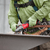 18V FUEL 125MM (5\") F/H ANGLE GRINDER D/M SWITCH - TOOL ONLY