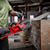 18V 405MM (16\") CHAINSAW - TOOL ONLY
