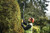 18V XR B/LESS POLE HEDGE TRIMMER - TOOL ONLY