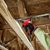 12V GEN 3 1/4\" HEX IMPACT DRIVER - TOOL ONLY