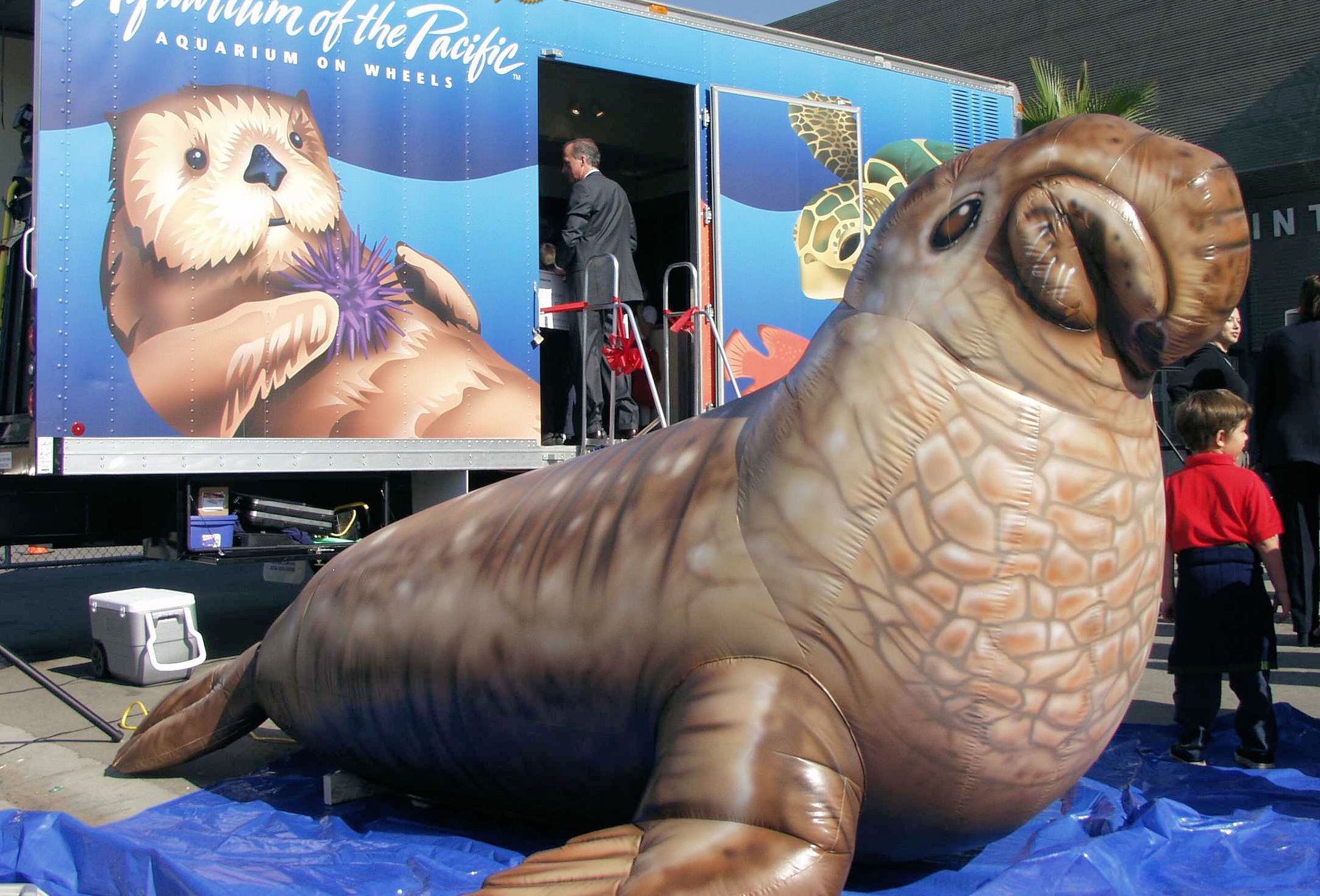 52-aquarium-of-the-pacific-giant-elephant-seal-experiential-inflatable.jpg