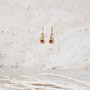 Silver Garnet Nautilus Drop Earrings
