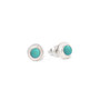 turquoise 6mm studs, sterling silver
