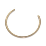 GEN-11761475 GEN-11761475