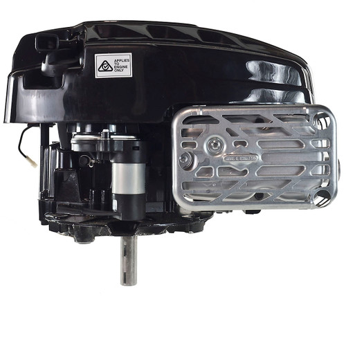 875 Professional Series Briggs & Stratton Engine, Vertical 7/8"x3-5/32" Shaft (2 woodruff key slots, 1/4" straight keyway, 3/8"-24 Tapped hole), Electric + Recoil Start, Heavy Flywheel (125P07-0054)